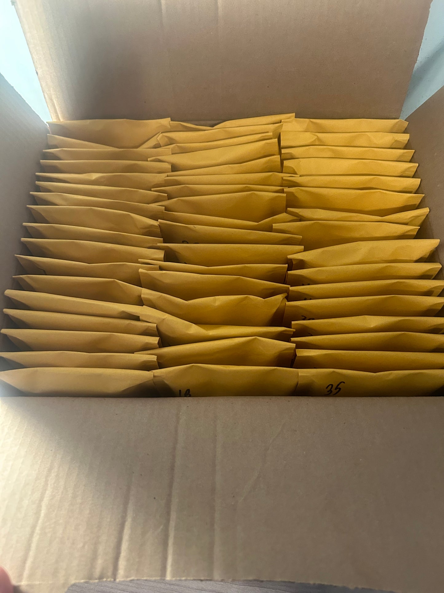 Multi Sport Premium Edition Lucky Envelopes Volume 25!